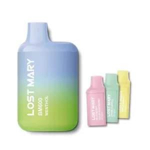 Exclusive Lost Mary BM600 Prefilled Pod Vape Kit Bundle  Today Only!
